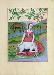 Illustration from the Book of Simple Medicines by Mattheaus Platearius
